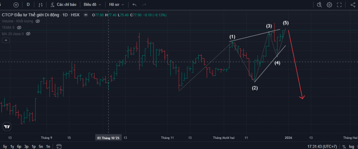 Chart đếm sóng VN-Index, cổ phiếu MWG-FPT